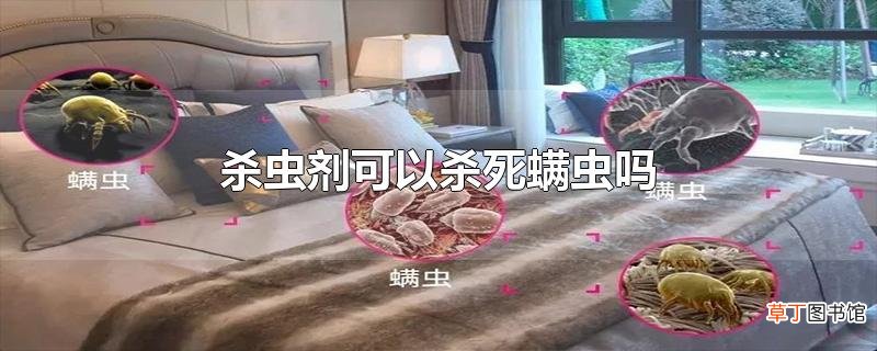 杀虫剂可以杀死螨虫吗