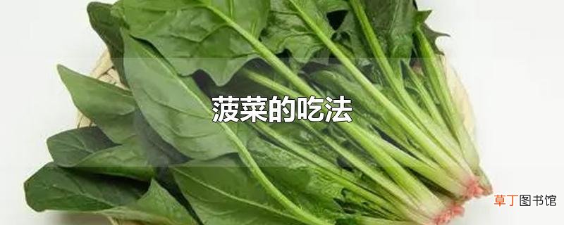 菠菜的吃法