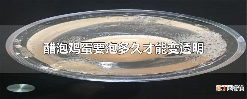 醋泡鸡蛋要泡多久才能变透明