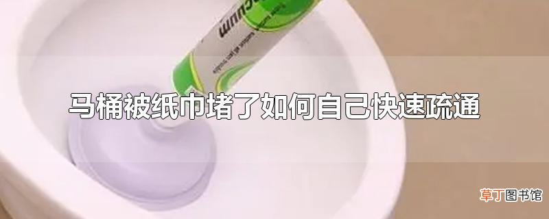 马桶被纸巾堵了怎么自己快速疏通