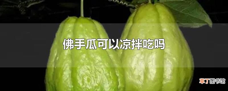 佛手瓜可以凉拌吃吗