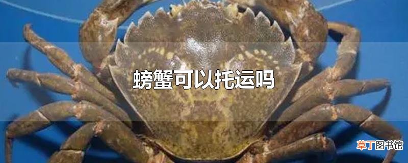 螃蟹可以托运吗