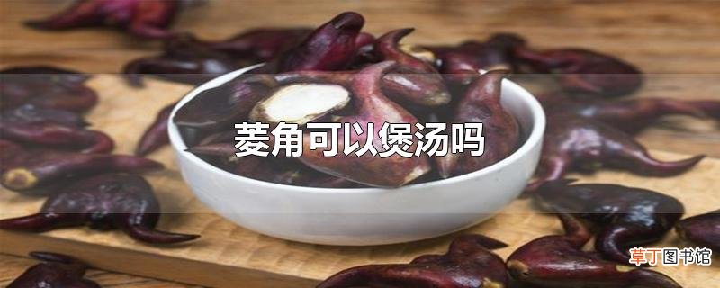 菱角可以煲汤吗