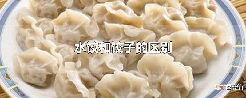 水饺和饺子的区别