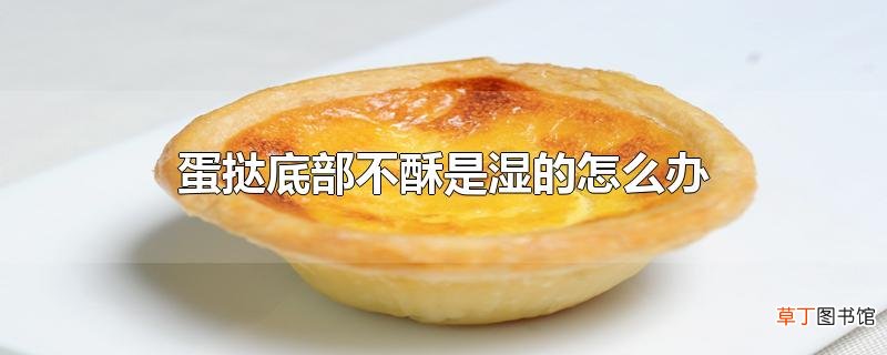 蛋挞底部不酥是湿的怎么办
