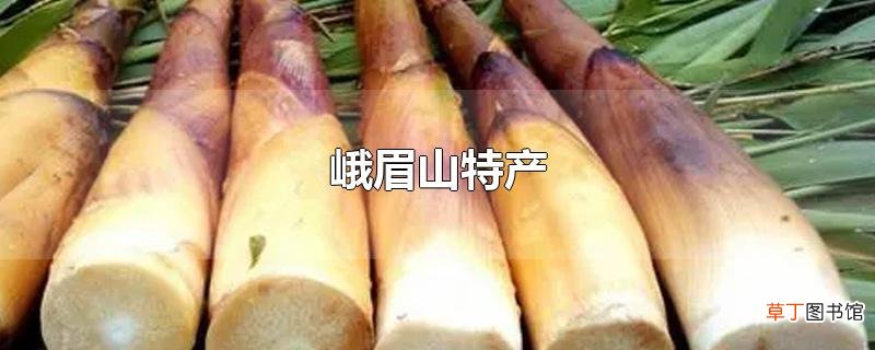 峨眉山特产