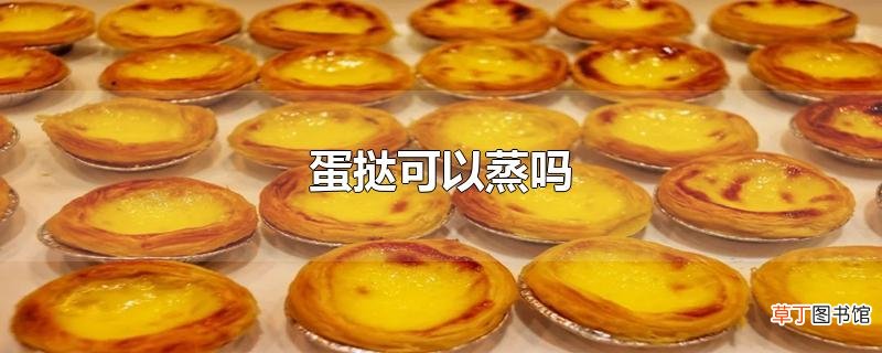 蛋挞可以蒸吗