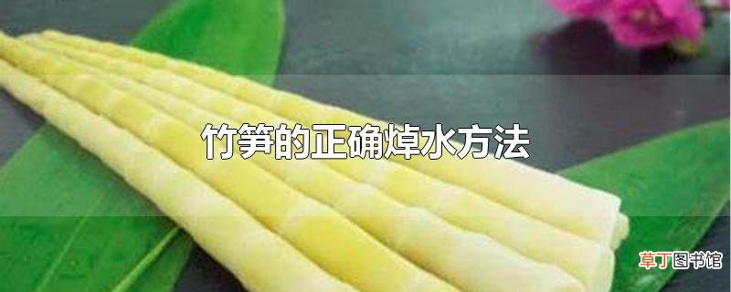 竹笋的正确焯水方法