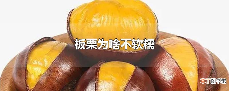 板栗为啥不软糯