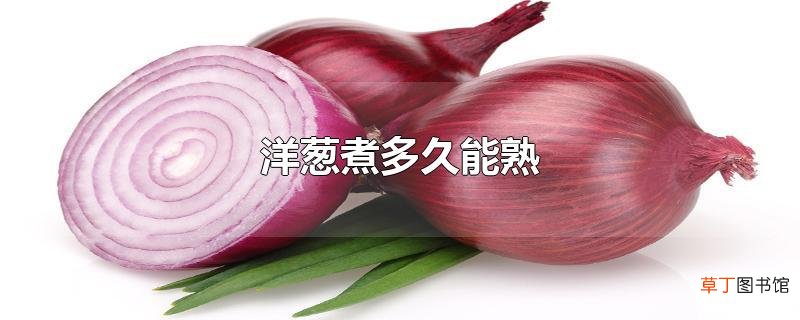 洋葱煮多久能熟