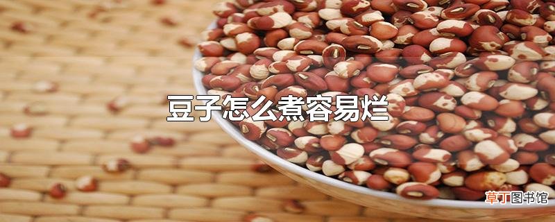 豆子怎么煮容易烂