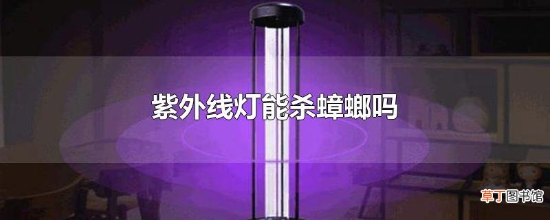 紫外线灯能杀蟑螂吗