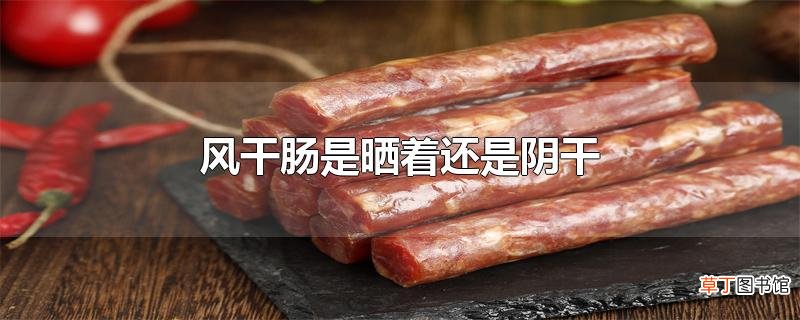 风干肠是晒着还是阴干