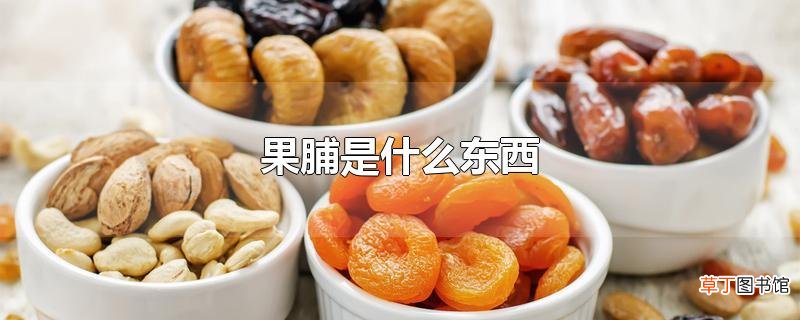 果脯是什么东西