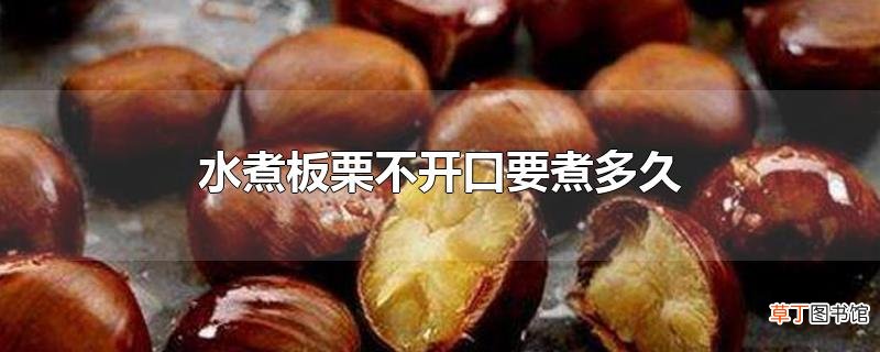 水煮板栗不开口要煮多久