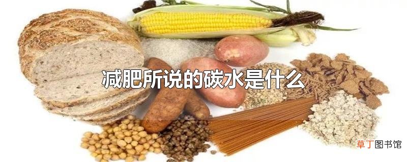 减肥所说的碳水是什么