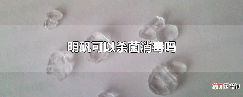 明矾可以杀菌消毒吗