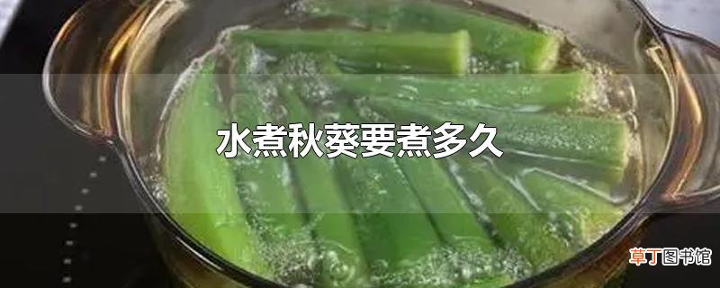 水煮秋葵要煮多久