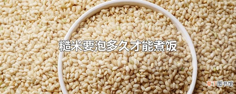 糙米要泡多久才能煮饭