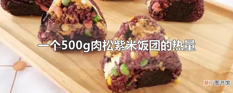 一个500g肉松紫米饭团的热量