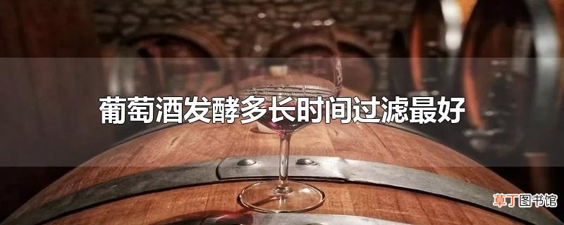 葡萄酒发酵多长时间过滤最好