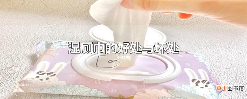 湿厕巾的好处与坏处