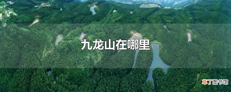 九龙山在哪里