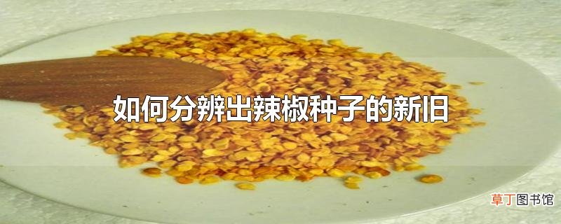 怎么分辨出辣椒种子的新旧