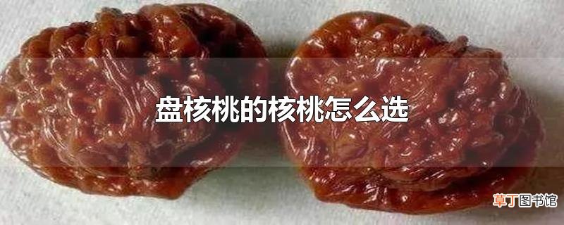 盘核桃的核桃怎么选