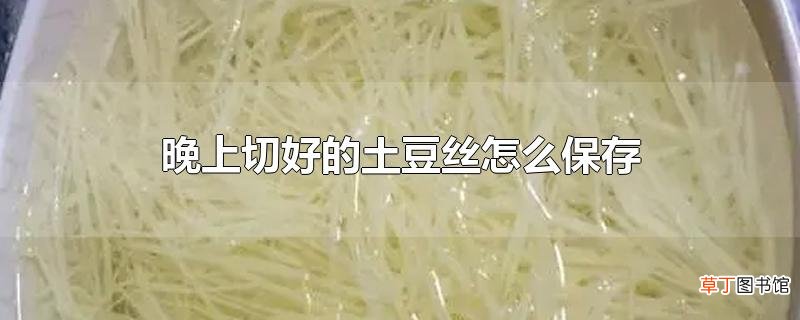 晚上切好的土豆丝怎么保存