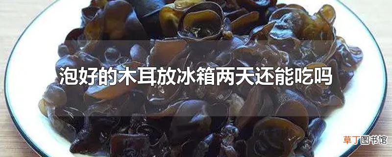 泡好的木耳放冰箱两天还能吃吗