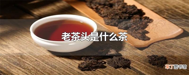 老茶头是什么茶