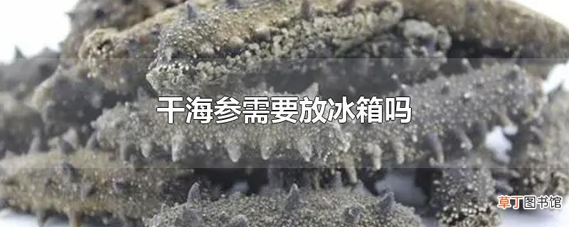 干海参需要放冰箱吗