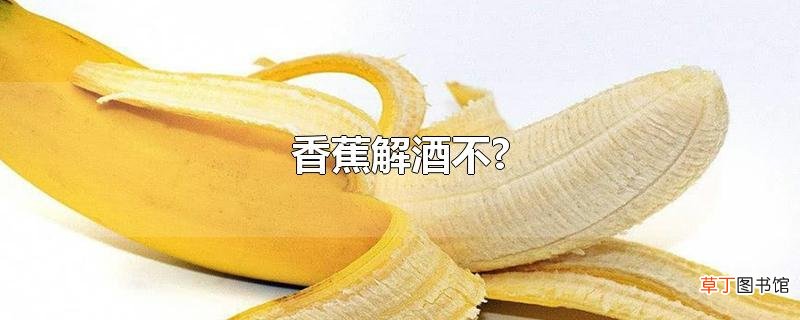 香蕉解酒不?