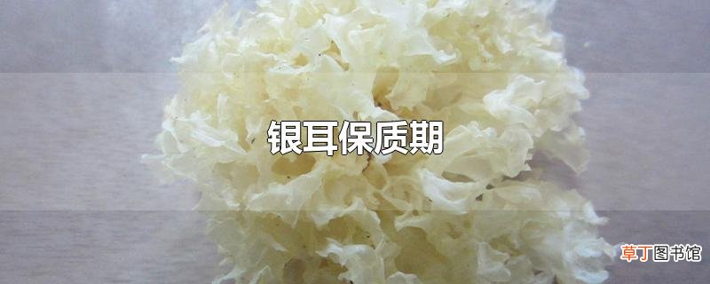 银耳保质期