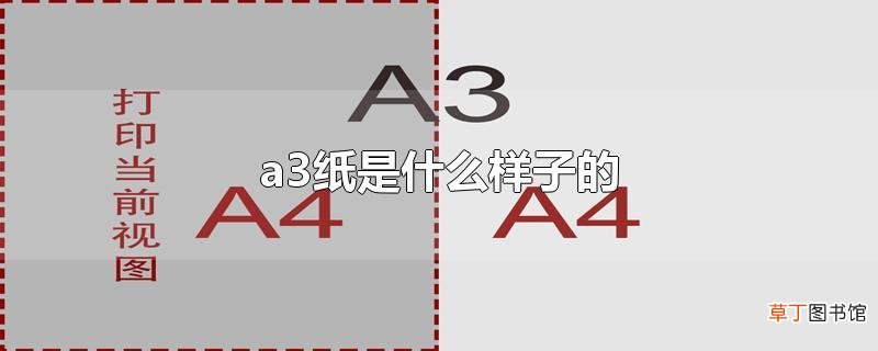 a3纸是什么样子的