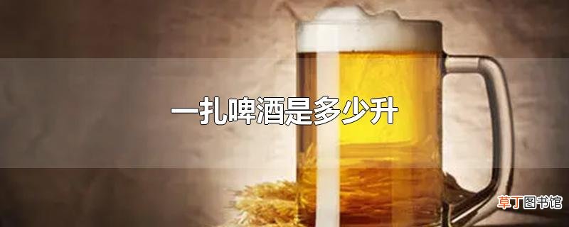 一扎啤酒是多少升