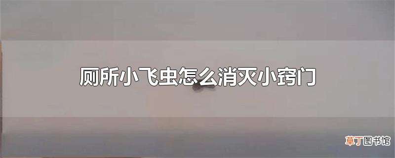 厕所小飞虫怎么消灭小窍门