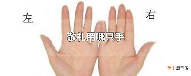敬礼用哪只手