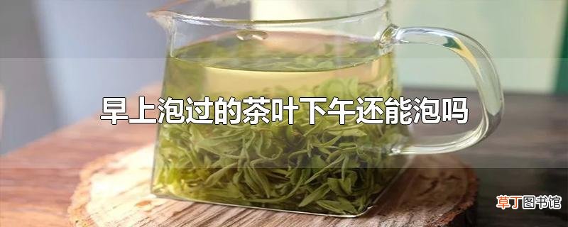 早上泡过的茶叶下午还能泡吗