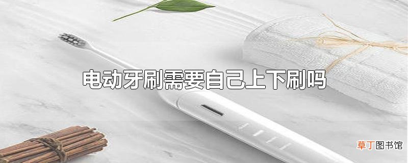 电动牙刷需要自己上下刷吗