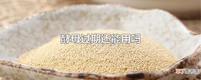 酵母过期还能用吗