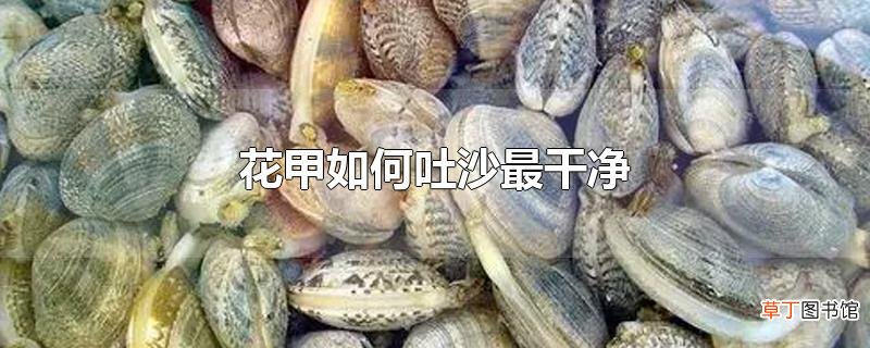 花甲怎么吐沙最干净