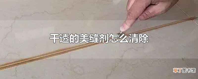 干透的美缝剂怎么清除