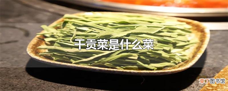 干贡菜是什么菜