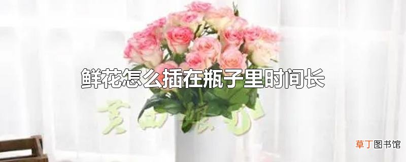 鲜花怎么插在瓶子里时间长