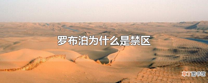 罗布泊为什么是禁区