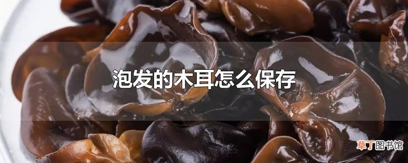 泡发的木耳怎么保存