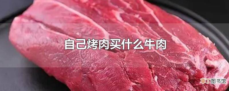 自己烤肉买什么牛肉