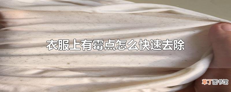 衣服上有霉点怎么快速去除
